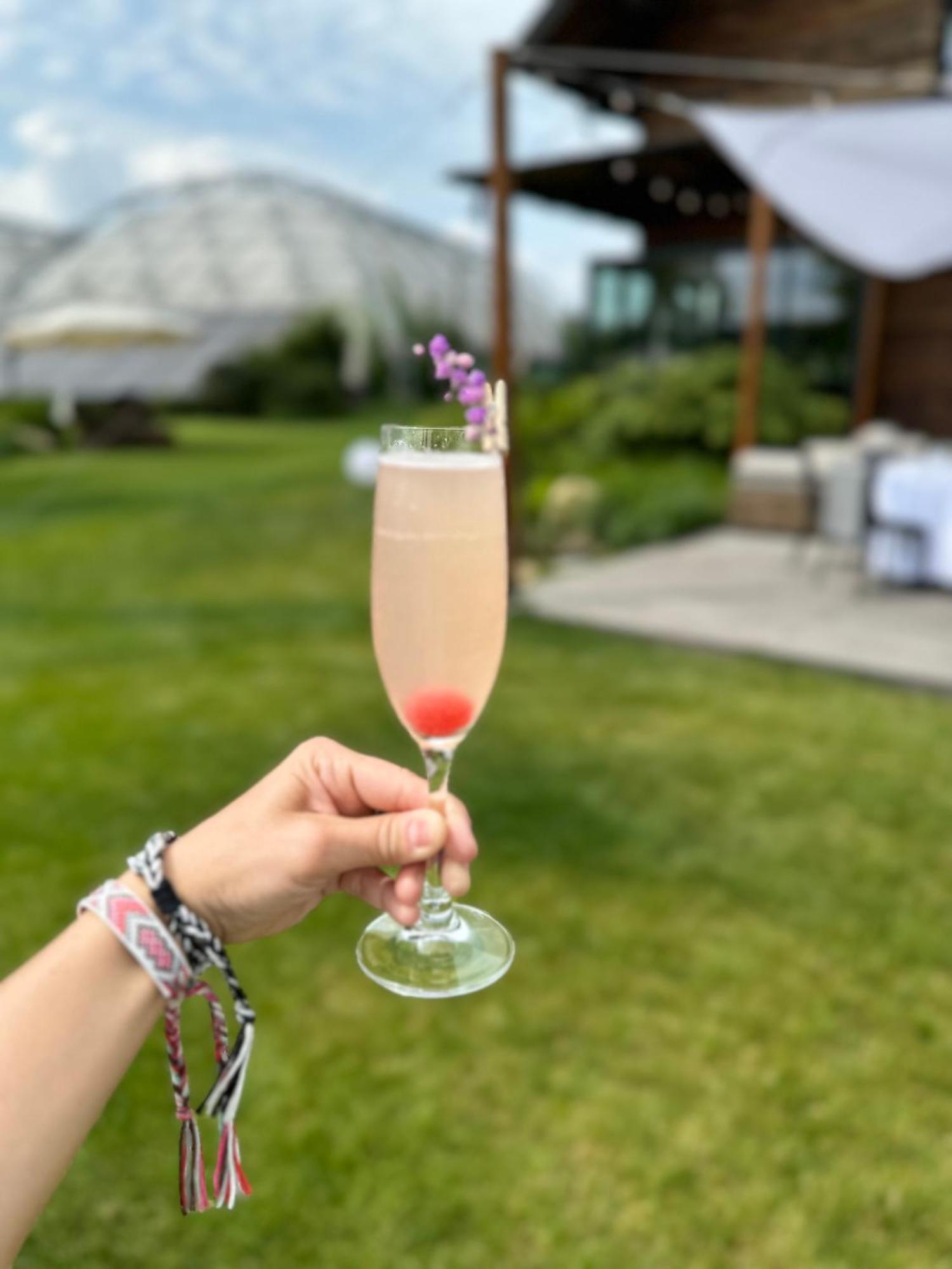 Karma House Goscienczyce Bed & Breakfast Grojec  Bagian luar foto